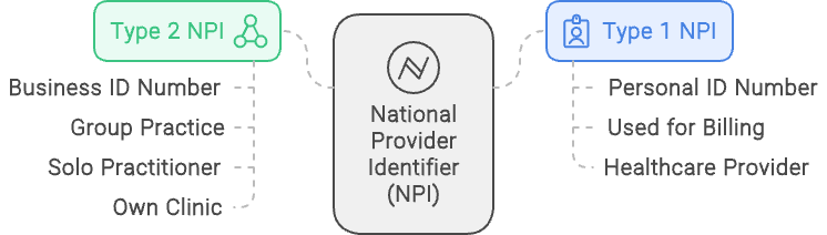 Understanding NPIs